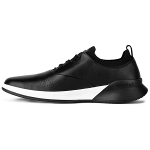 The Hybrid (Onyx)