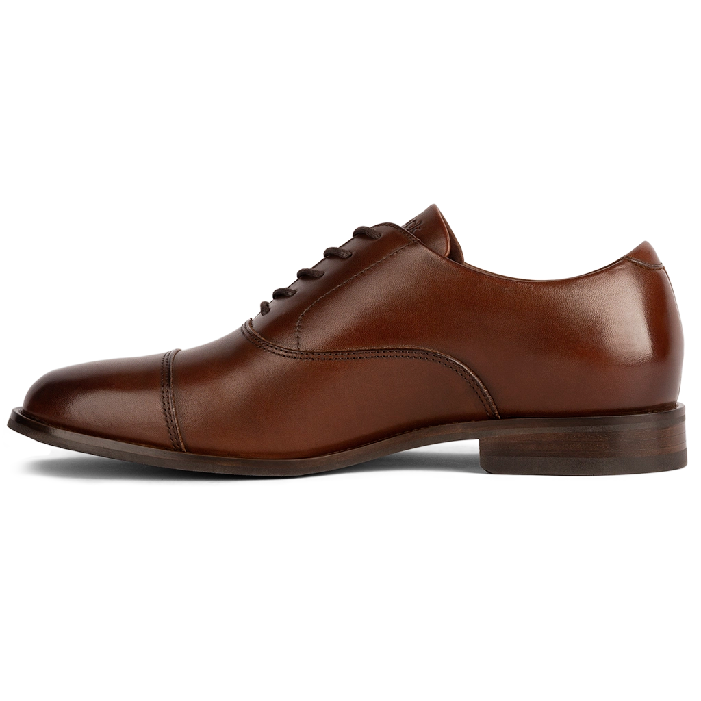 The Regent (Chestnut)